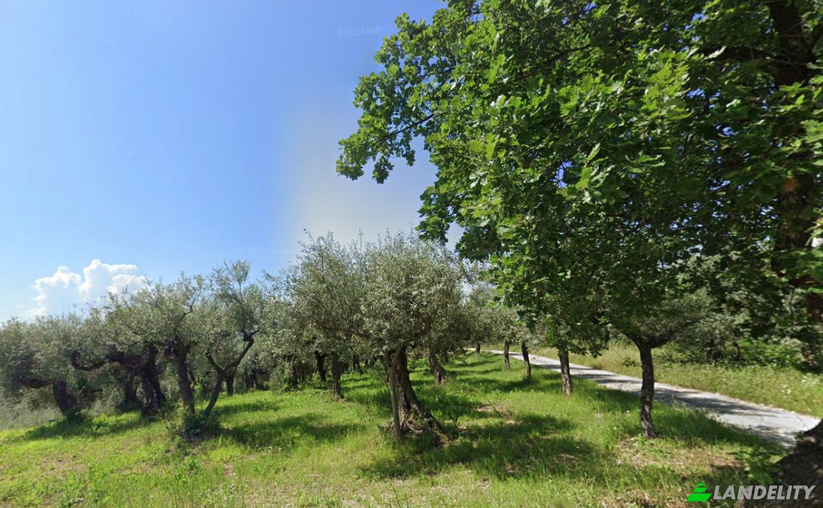 Grundstück zu verkaufen Contrada Fiume, 65014 Loreto Aprutino PE, Loreto Aprutino, Province of Pescara, Abruzzo, Italy. Foto 2