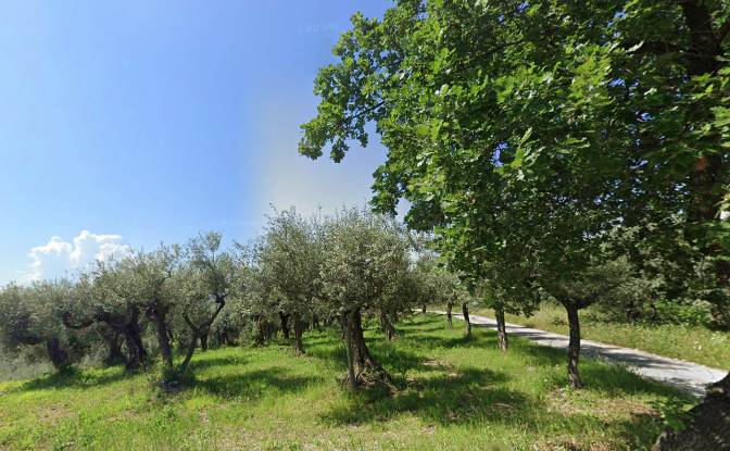 Grundstück zu verkaufen Contrada Fiume. Foto#2