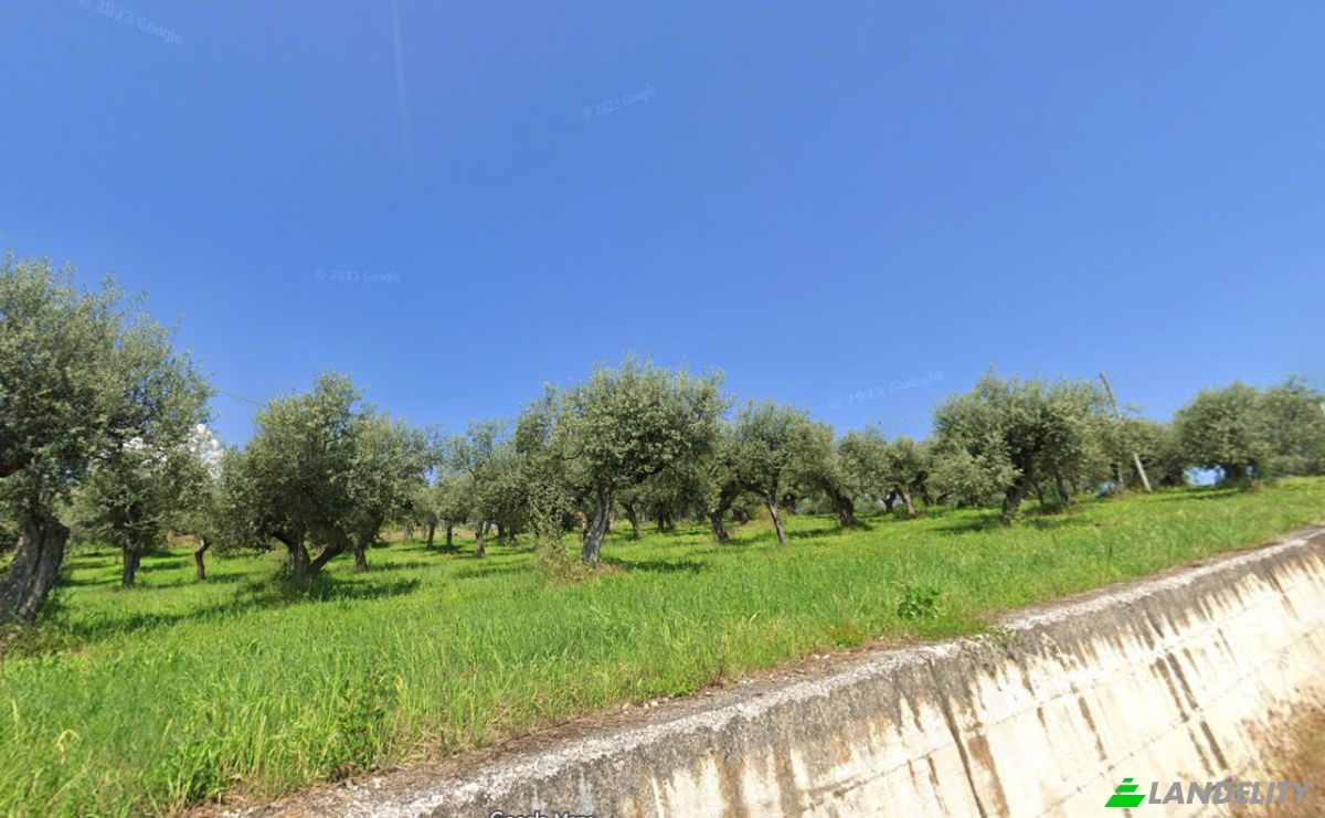 Grundstück zu verkaufen Contrada Fiume, 65014 Loreto Aprutino PE, Loreto Aprutino, Province of Pescara, Abruzzo, Italy. Foto 5