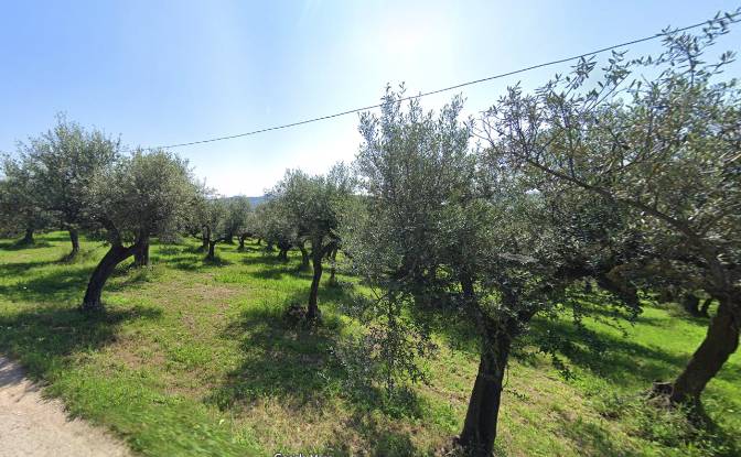 Grundstück zu verkaufen Contrada Fiume. Foto#3