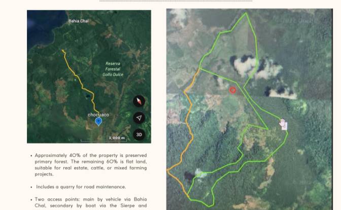 Investing/Development for Sale Sierpe. Photo#2
