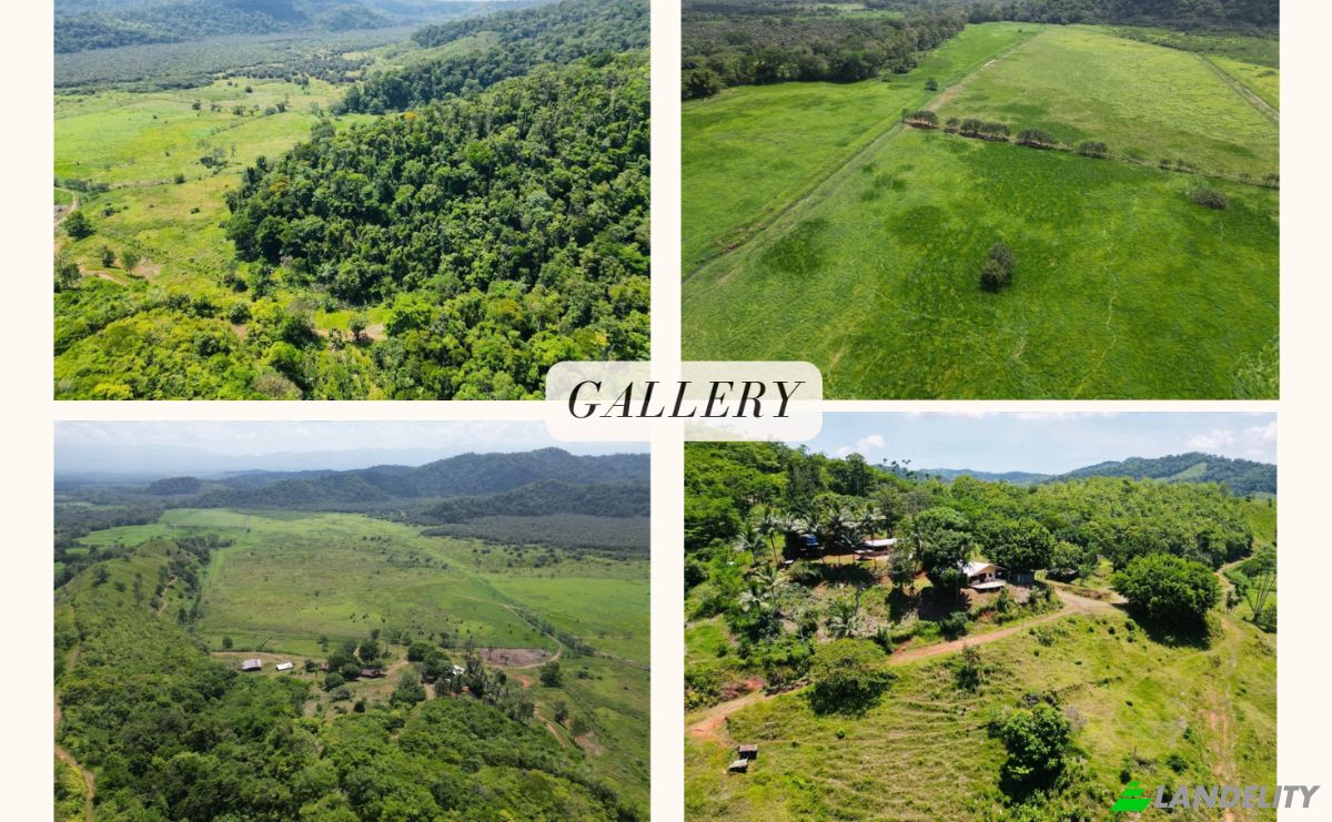 Investing/Development for Sale Sierpe, Provincia de Puntarenas, Puntarenas Province, Osa, Costa Rica. Photo 3