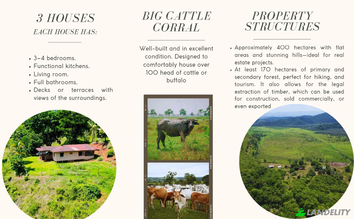 Investing/Development for Sale Sierpe, Provincia de Puntarenas, Puntarenas Province, Osa, Costa Rica. Photo 5