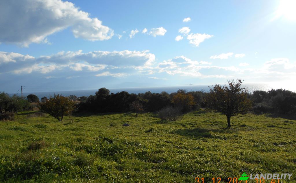 Land/Lot for Sale Petalidi, Peloponnese Region, Decentralized Administration of Peloponnese, Western Greece and the Ionian, Greece. Photo 3