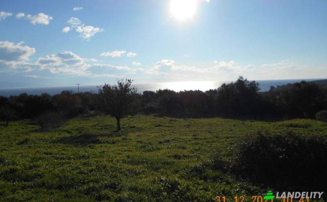 Land/Lot for Sale Petalidi, Peloponnese Region. Photo#4