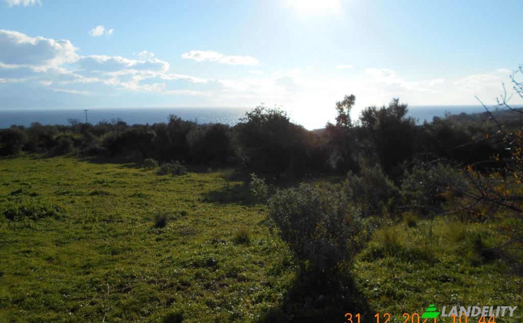 Land/Lot for Sale Petalidi, Peloponnese Region, Decentralized Administration of Peloponnese, Western Greece and the Ionian, Greece. Photo 5