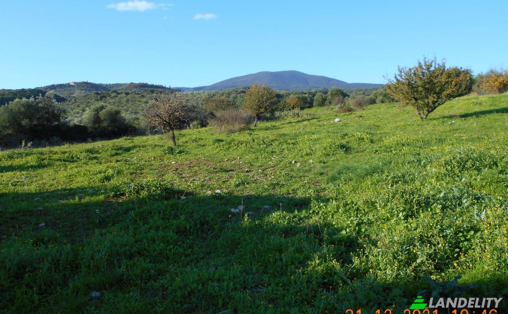 Land/Lot for Sale Petalidi, Peloponnese Region, Decentralized Administration of Peloponnese, Western Greece and the Ionian, Greece. Photo 6