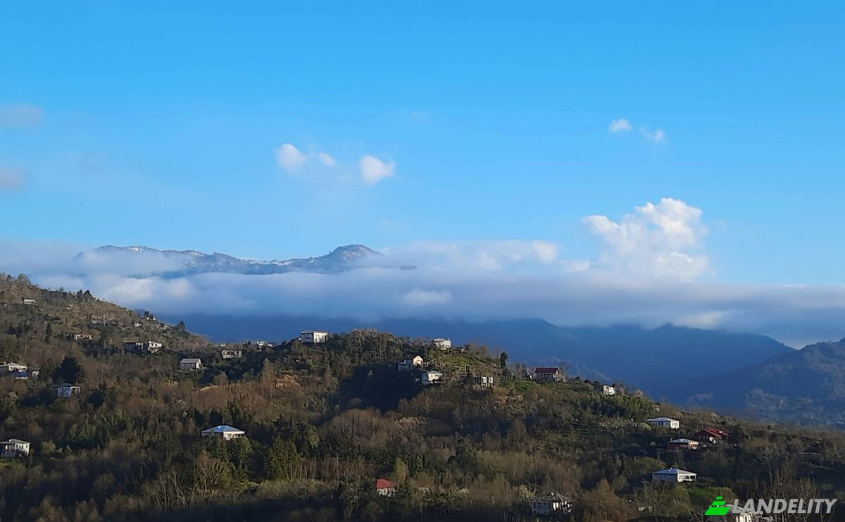 Villa for Sale Sachino, Stalinisubani, Kobuleti Municipality, Adjara, Georgia. Photo 6