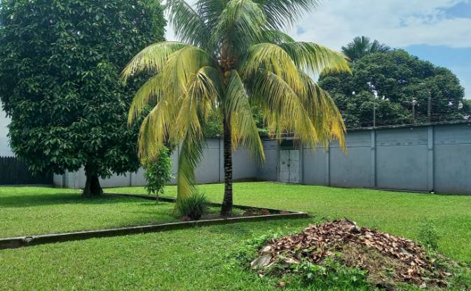 Investing/Development for Sale Iquitos 643. Photo#5 Investing/Development for Sale Iquitos 643. Photo#5