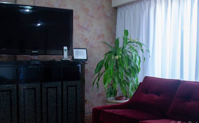 Apartment for Rent Doblas 317. Photo#3