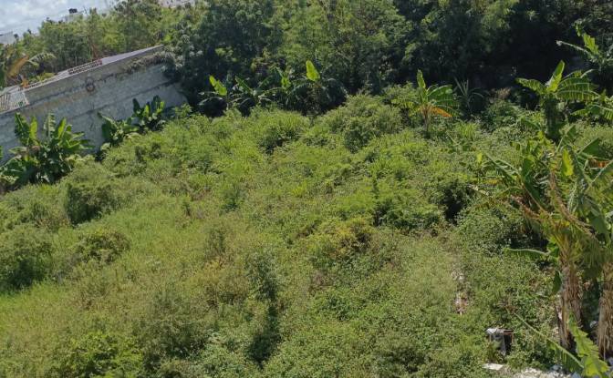 Lote de terreno à venda - Punta Cana, Dominican Republic