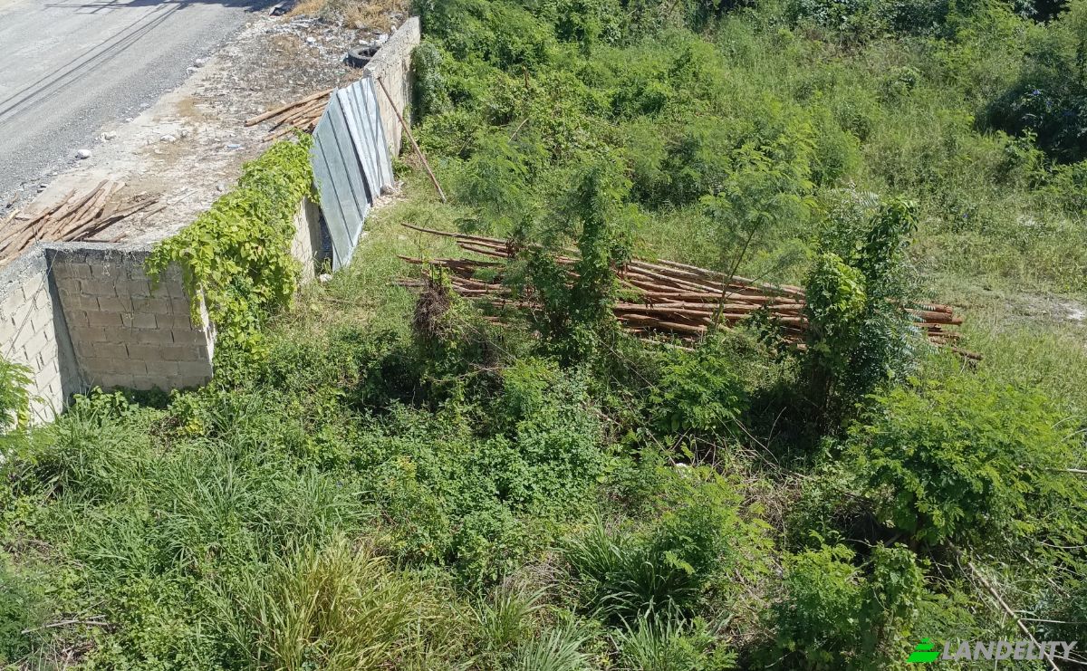 Lote de terreno à venda Residencial Brisas de Punta Cana, Punta Cana 23000, Punta Cana, Higuey, La Altagracia Province, Dominican Republic. foto 4