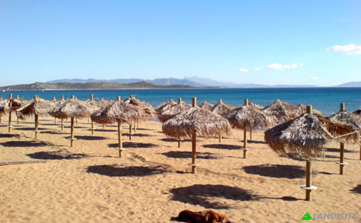 Land Lot for Sale 1 326, Dikastika 190 07, Marathon, Attica, Decentralized Administration of Attica, Greece. Photo 12