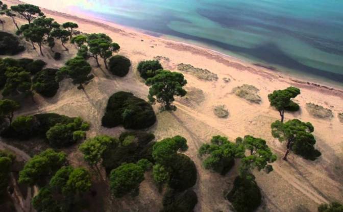 Land Lot for Sale 1 326, Dikastika 190 07. Photo#15