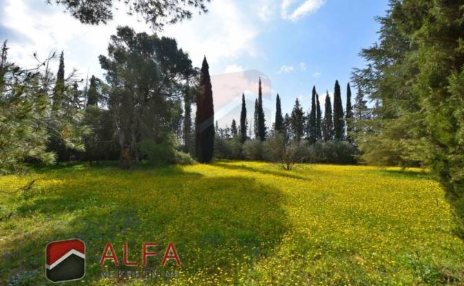 Mansion for Sale Caleta Cari 68, 22000, Bilice. Photo#22