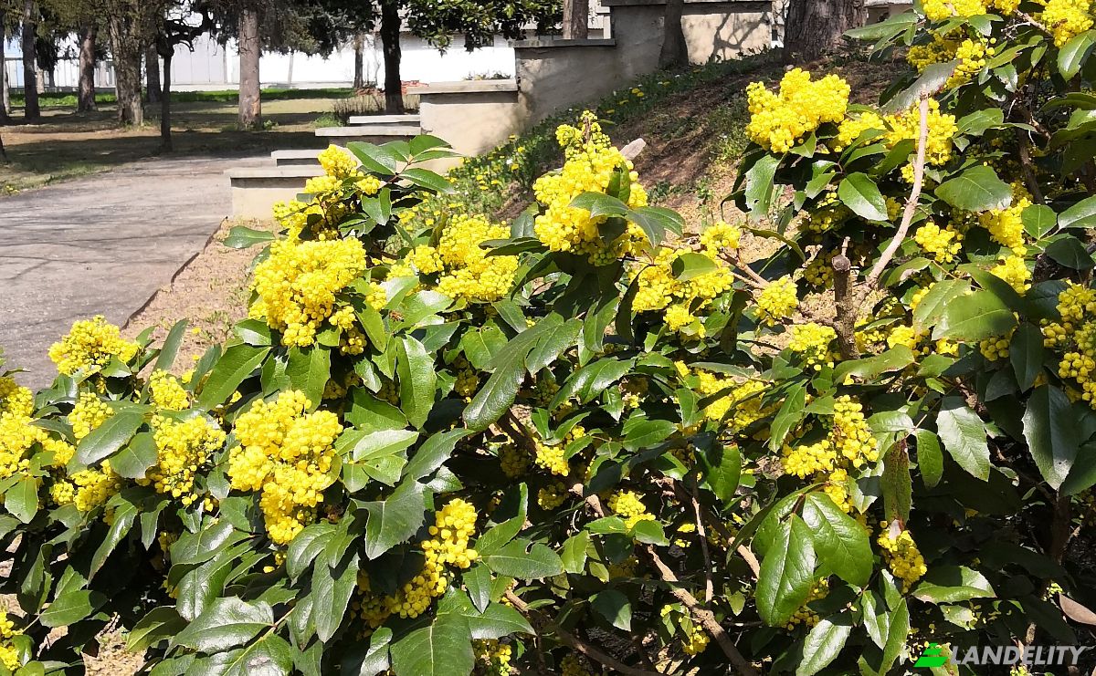 Villa for Sale Str Valle Tanaro, 14055 Costigliole dAsti AT, Costigliole dAsti, Province of Asti, Piedmont, Italy. Photo 6