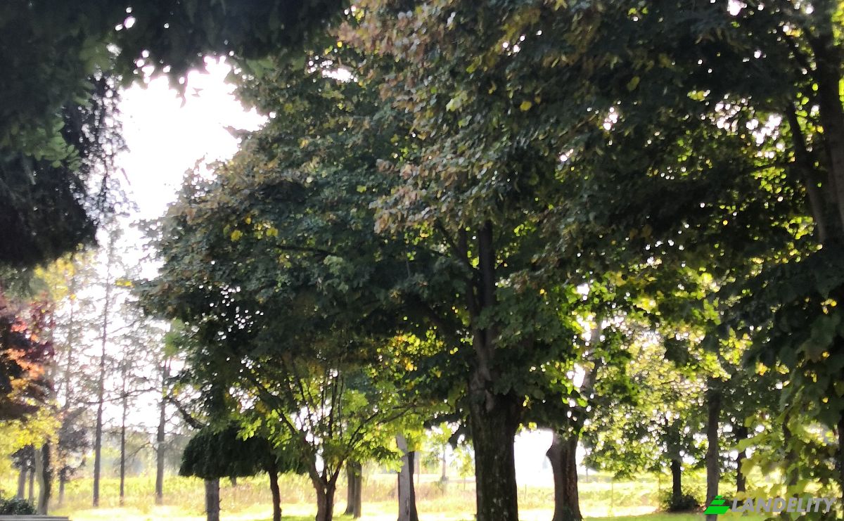 Villa for Sale Str Valle Tanaro, 14055 Costigliole dAsti AT, Costigliole dAsti, Province of Asti, Piedmont, Italy. Photo 3