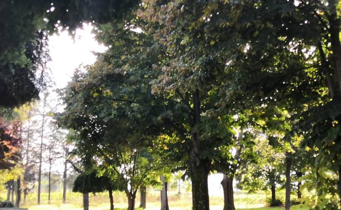 Villa for Sale Str Valle Tanaro. Photo#3