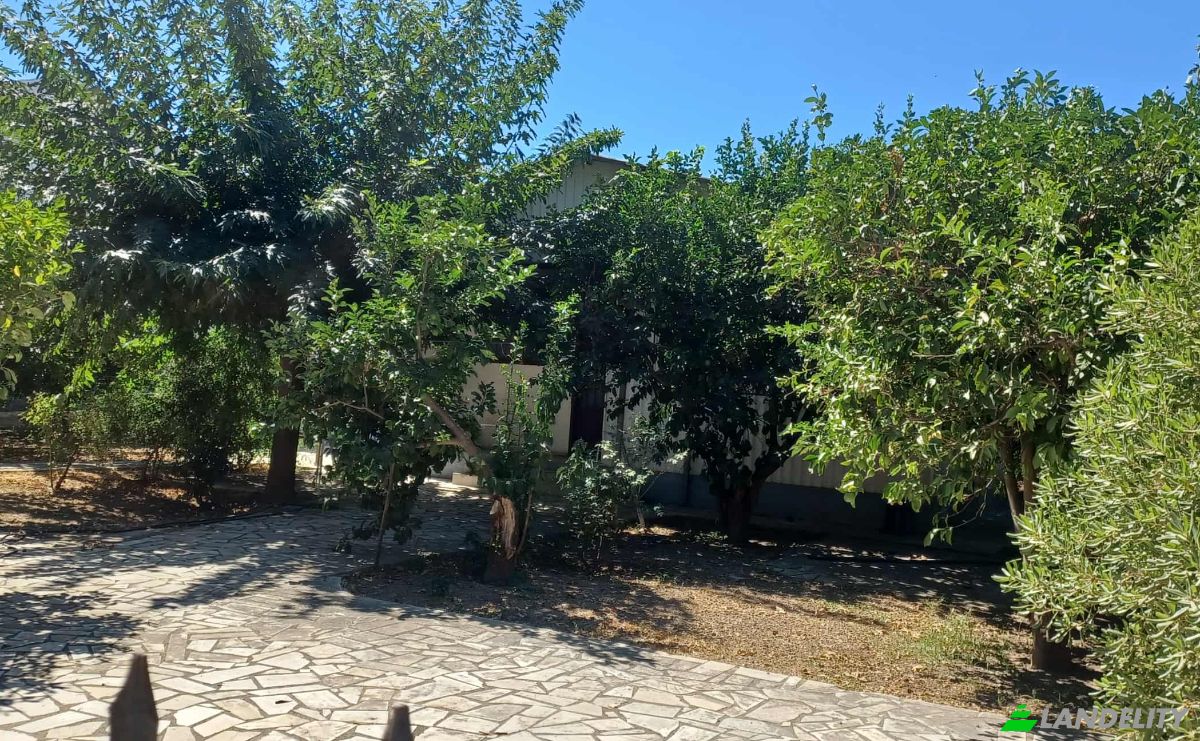 Bungalow for Sale Paraliaki Odos, Egialia 251 00, Egio, Western Greece, Decentralized Administration of Peloponnese, Western Greece and the Ionian, Greece. Photo 21