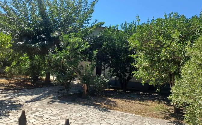 Bungalow for Sale Paraliaki Odos, Egialia 251 00. Photo#21