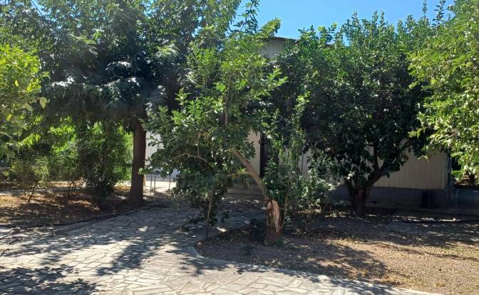 Bungalow for Sale Paraliaki Odos, Egialia 251 00. Photo#4