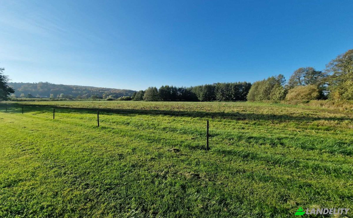 Investing/Development for Sale Kadyny 15S, 82-340, Kadyny, Elblag County, Warmian-Masurian Voivodeship, Poland. Photo 3