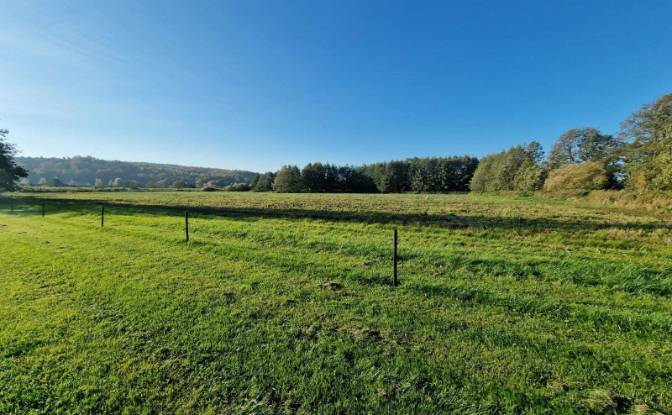 Investing/Development for Sale Kadyny 15S, 82-340. Photo#3