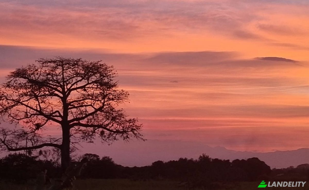 Townhouse for Sale Via a Boyaca, Palmira, Valle del Cauca, Colombia. Photo 3