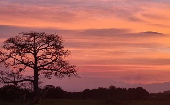 Townhouse for Sale Via a Boyaca, Palmira. Photo#3