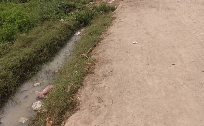 Land Lot for Sale Shorkot, Jhang, Punjab, Pakistan. Photo#3 Land Lot for Sale Shorkot, Jhang, Punjab, Pakistan. Photo#3