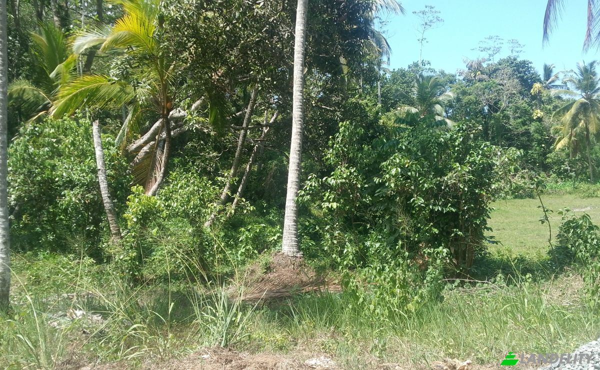 Investing/Development for Sale Bandaranayake, Galle, Southern Province, Sri Lanka. Photo 1