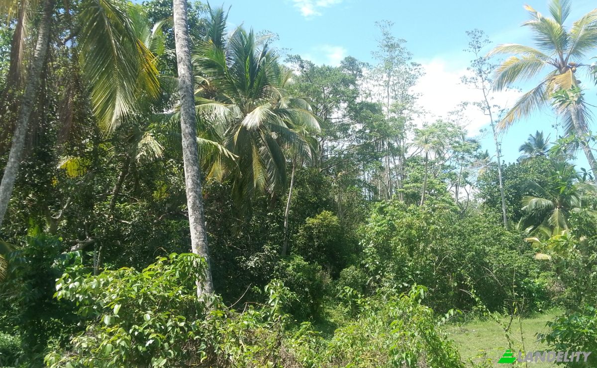 Investing/Development for Sale Bandaranayake, Galle, Southern Province, Sri Lanka. Photo 10