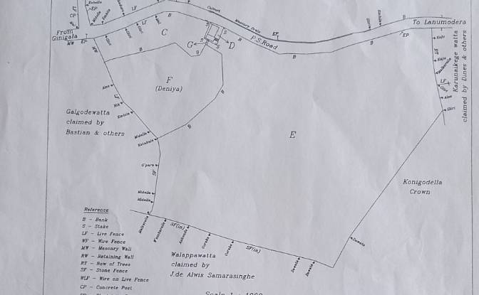 Investing/Development for Sale Bandaranayake. Photo#3 Investing/Development for Sale Bandaranayake. Photo#3