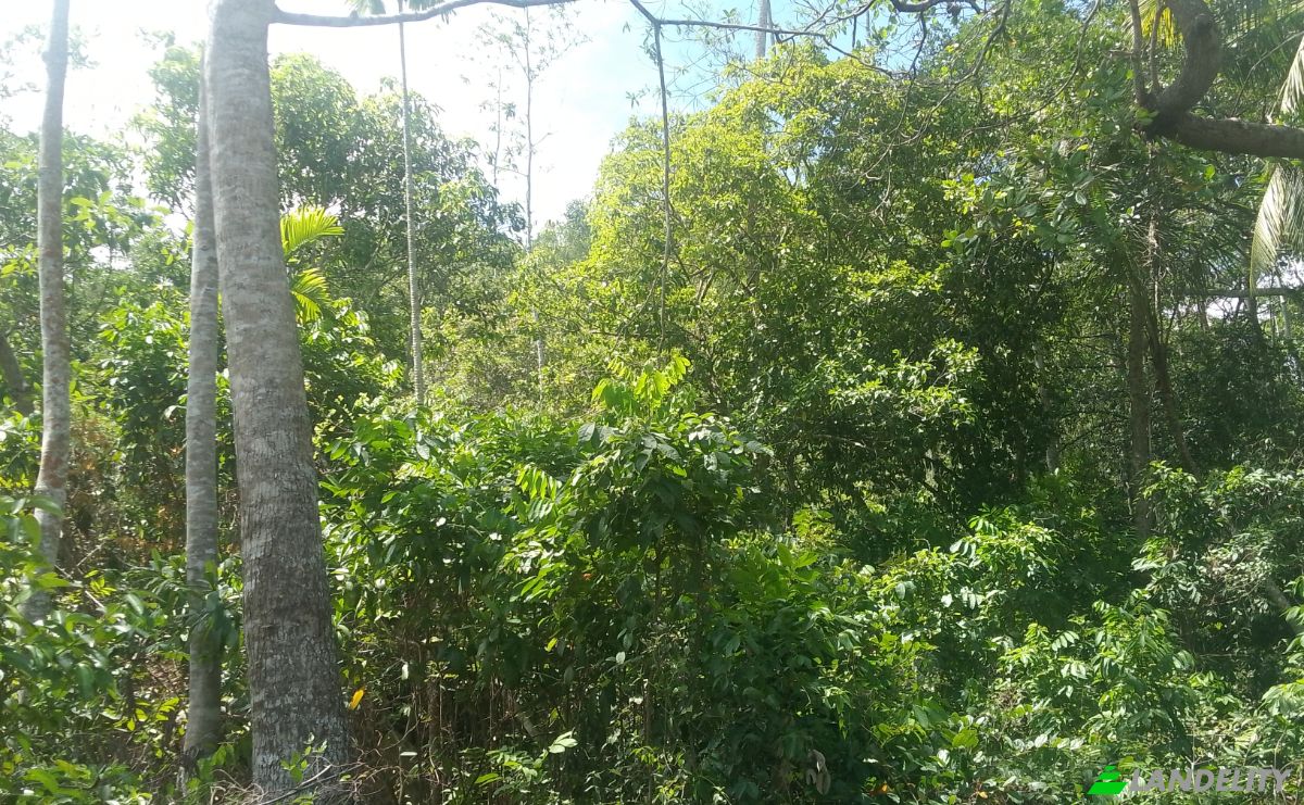 Investing/Development for Sale Bandaranayake, Galle, Southern Province, Sri Lanka. Photo 7