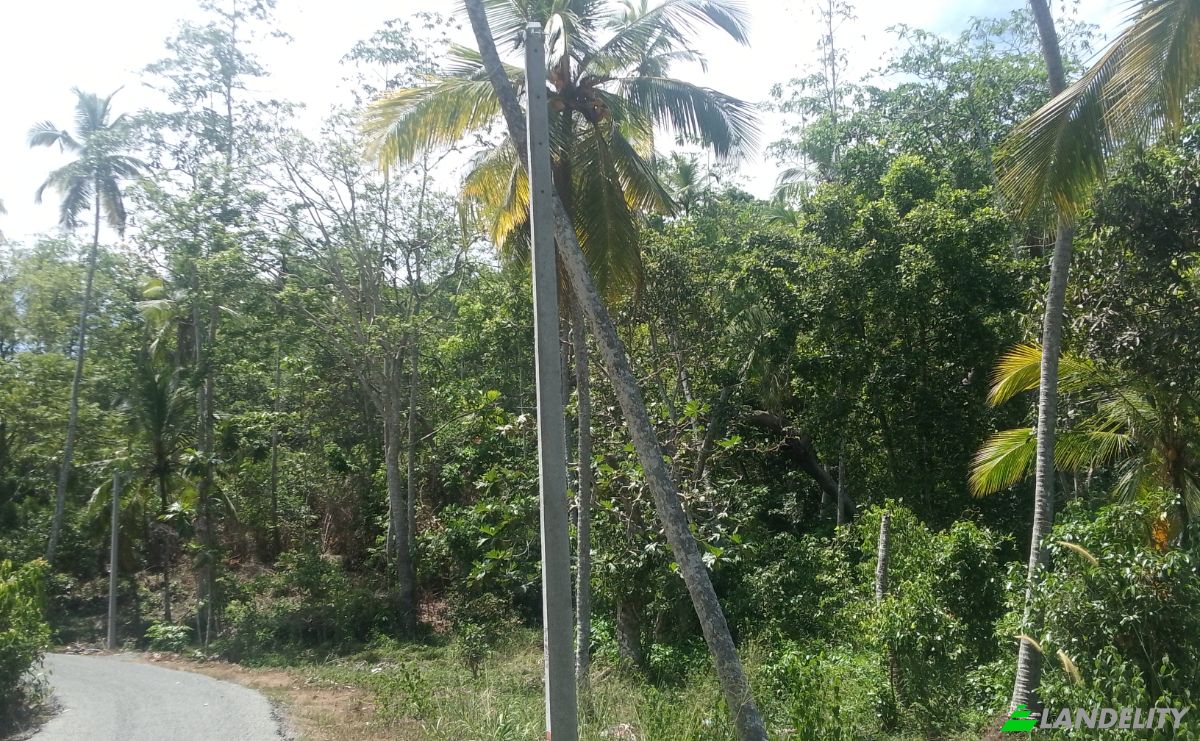 Investing/Development for Sale Bandaranayake, Galle, Southern Province, Sri Lanka. Photo 9