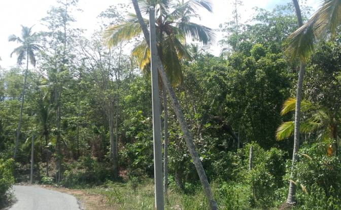 Investing/Development for Sale Bandaranayake. Photo#9 Investing/Development for Sale Bandaranayake. Photo#9