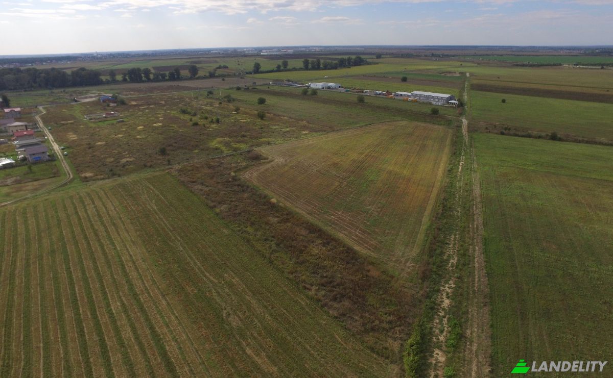 Land Lot for Sale Strada Narciselor 43, 077055 Ciorogarla, Ciorogarla, Ilfov County, Romania. Photo 2