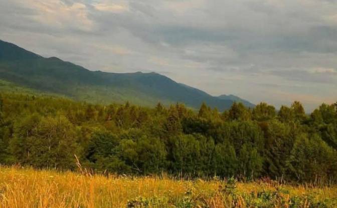 Single Family Home for Sale PrzysLup 28, 38-607. Photo#17