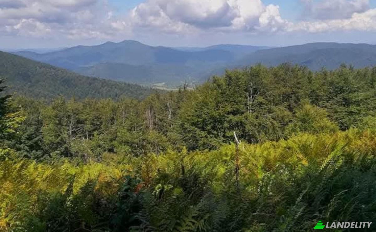 Single Family Home for Sale PrzysLup 28, 38-607, Buk, Lesko County, Podkarpackie Voivodeship, Poland. Photo 19