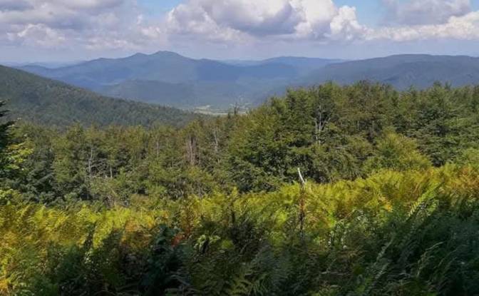 Single Family Home for Sale PrzysLup 28, 38-607. Photo#19