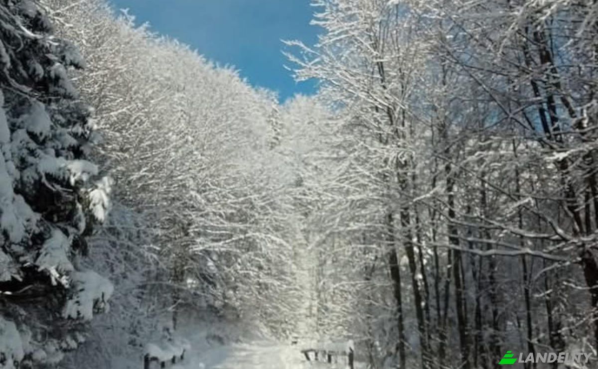 Single Family Home for Sale PrzysLup 28, 38-607, Buk, Lesko County, Podkarpackie Voivodeship, Poland. Photo 2