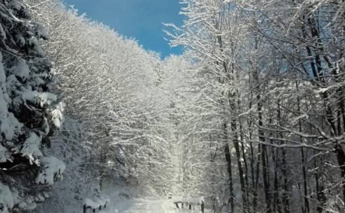 Single Family Home for Sale PrzysLup 28, 38-607. Photo#2