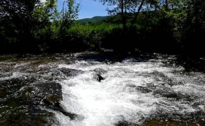 Single Family Home for Sale PrzysLup 28, 38-607. Photo#21