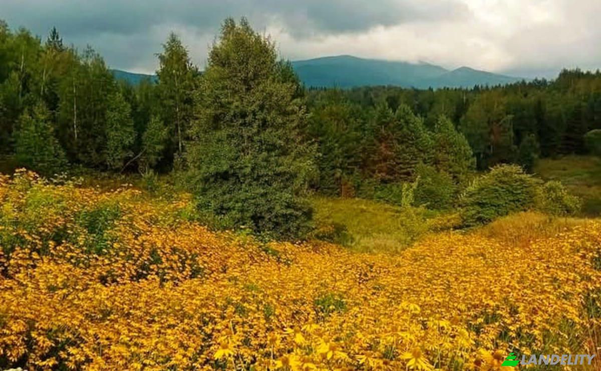 Single Family Home for Sale PrzysLup 28, 38-607, Buk, Lesko County, Podkarpackie Voivodeship, Poland. Photo 24