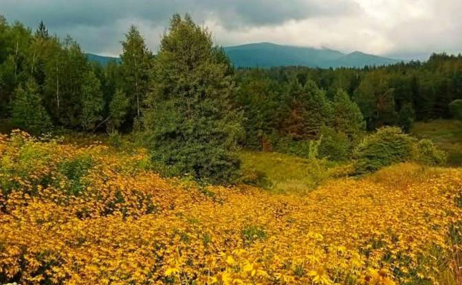 Single Family Home for Sale PrzysLup 28, 38-607. Photo#24