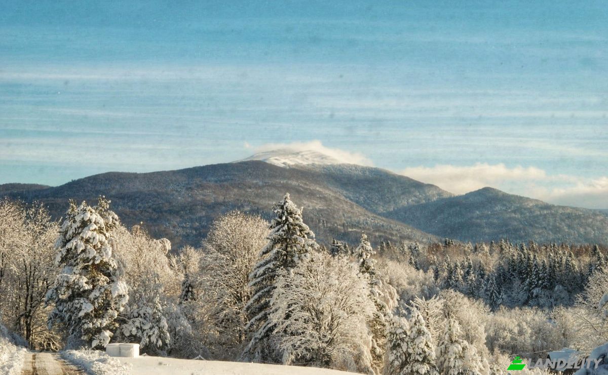 Single Family Home for Sale PrzysLup 28, 38-607, Buk, Lesko County, Podkarpackie Voivodeship, Poland. Photo 3