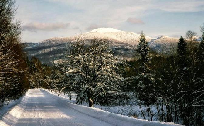 Single Family Home for Sale PrzysLup 28, 38-607. Photo#4