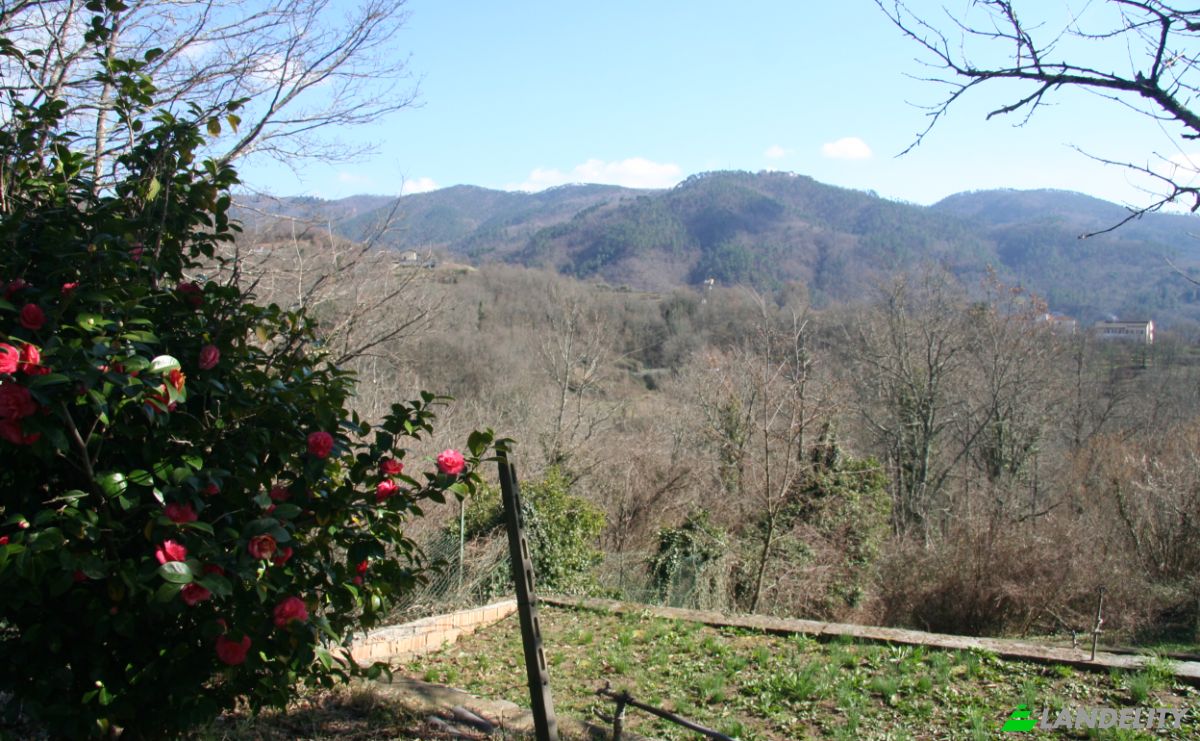 Villa for Sale Case Sparse Calcinara, 19020 Sesta Godano SP, Sesta Godano, Province of La Spezia, Liguria, Italy. Photo 16