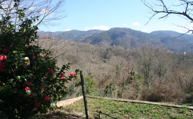 Villa for Sale Case Sparse Calcinara. Photo#16