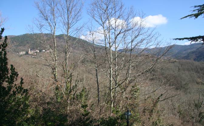 Villa for Sale Case Sparse Calcinara. Photo#17